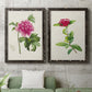 Set of two black barnwood framed canvas prints depicting a coordinated art pair of pink flowering plant specimens rendered as vintage botanical plate illustrations above a sofa in a modern living room.