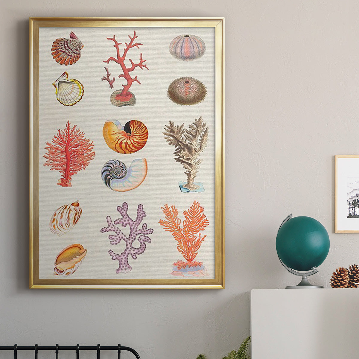 Coral & Shell Collage I -  Framed Canvas Print