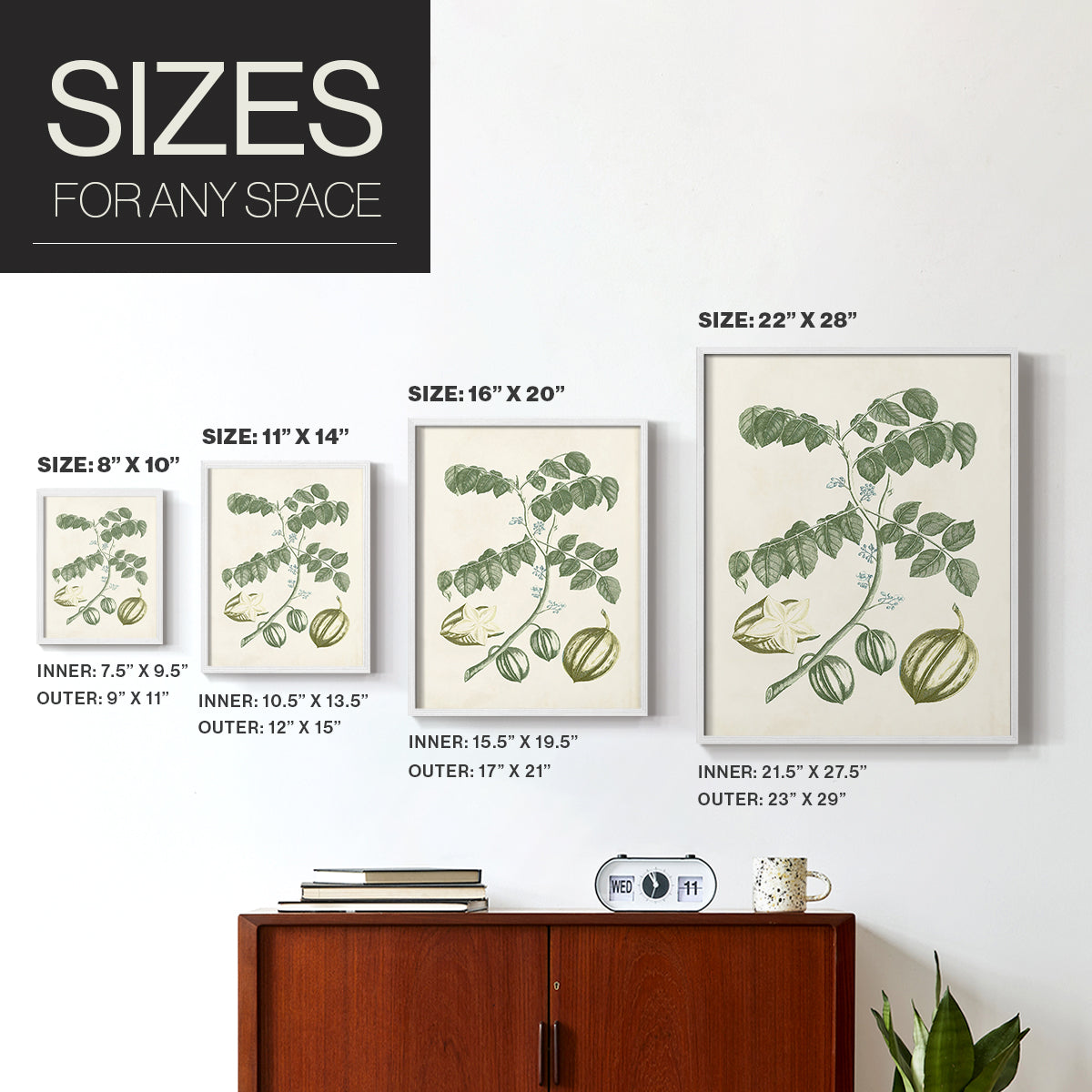 Buchoz Tropicals II - Restickable Framed Art Print