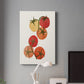 Organic Veg IV Premium Gallery Wrapped Canvas - Ready to Hang