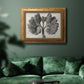 Blossfeldt Botanical VIII Premium Framed Canvas- Ready to Hang