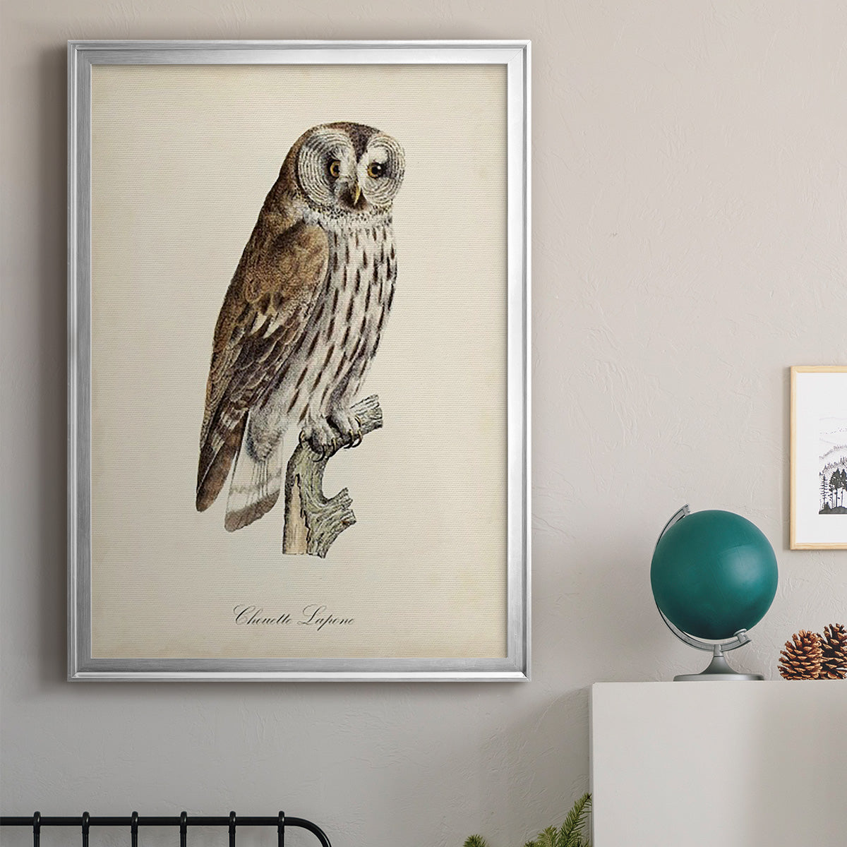 French Owls III - Modern Framed Canvas Print