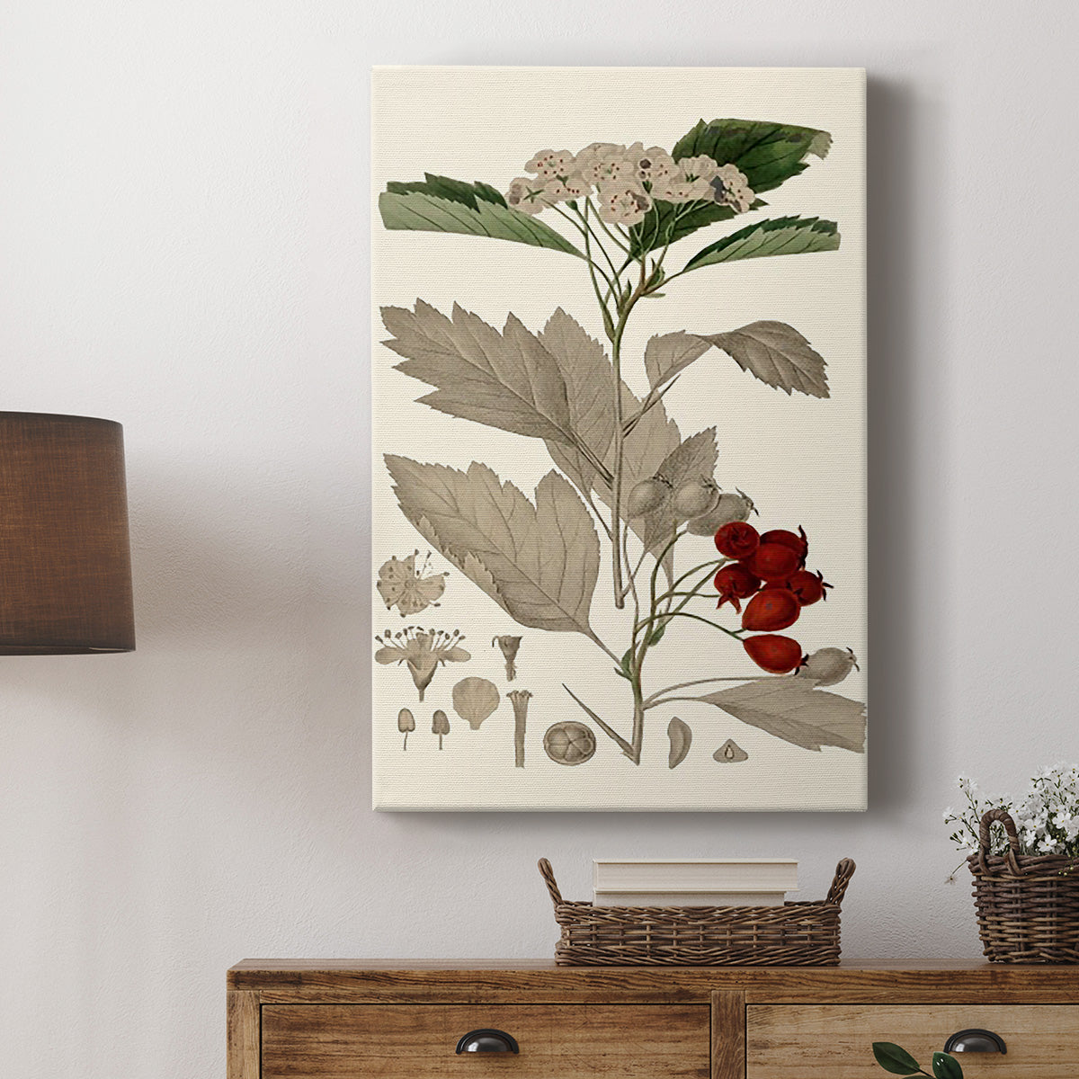 Leaves & Berries I - Canvas Art Print