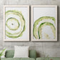 Lichen Halo III - Premium Framed Canvas 2 Piece Set - Ready to Hang