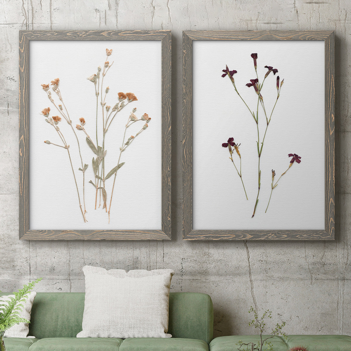 Pressed Botanical I - Premium Framed Canvas 2 Piece Set - Ready to Hang