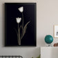 Tulip Pose II - Modern Framed Canvas Print