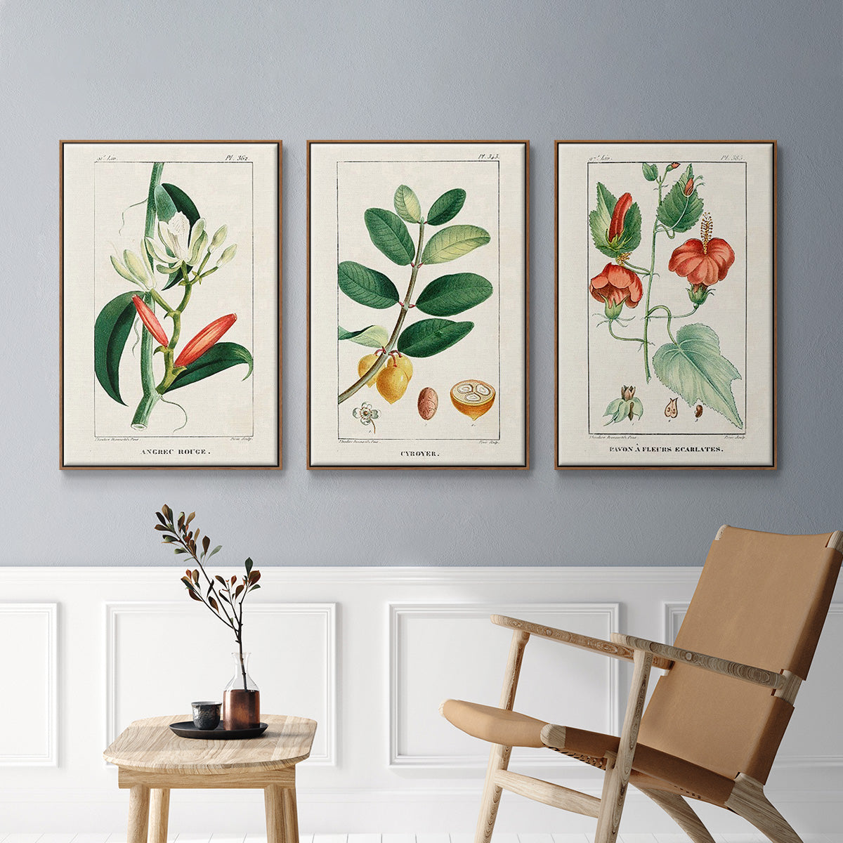 Turpin Tropical Botanicals IV - Framed Premium Gallery Wrapped Canvas L Frame 3 Piece Set - Ready to Hang