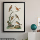 Antique Birds in Nature IV - Modern Framed Canvas Print