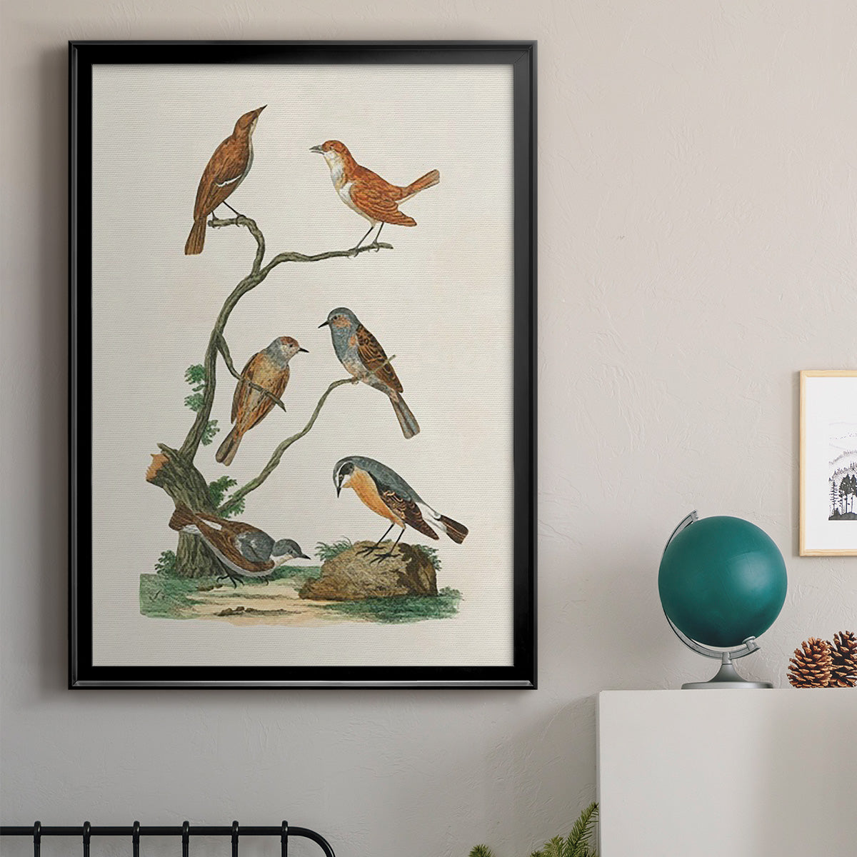 Antique Birds in Nature IV - Modern Framed Canvas Print