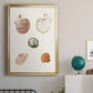 Pastel Knorr Shells VIII - Modern Framed Canvas Print
