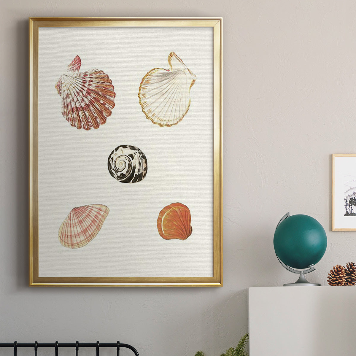 Pastel Knorr Shells VIII - Modern Framed Canvas Print