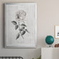 Vintage Botanical I - Modern Framed Canvas Print