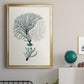 Antique Coastal Coral III - Modern Framed Canvas Print