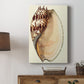 Splendid Shells II Premium Gallery Wrapped Canvas - Ready to Hang