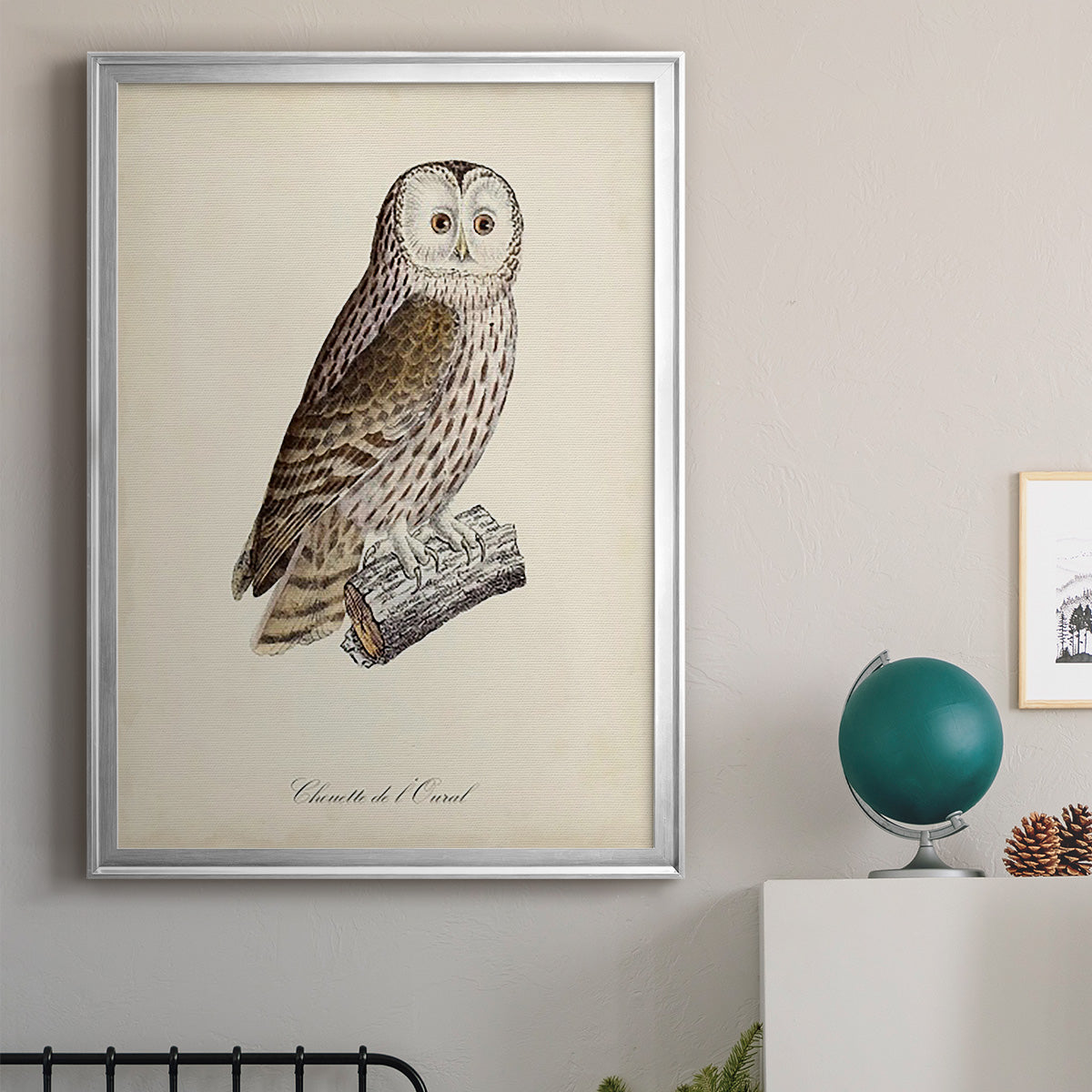 French Owls V - Modern Framed Canvas Print