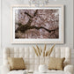 Spring's Arrival - Barnwood Framed Art Print