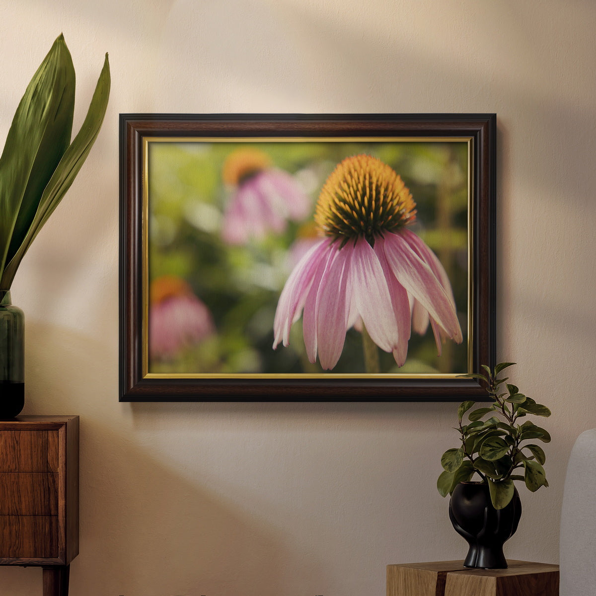 Echinacea Study I Premium Framed Canvas- Ready to Hang