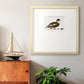 Golden Mallard Premium Framed Print Double Matboard