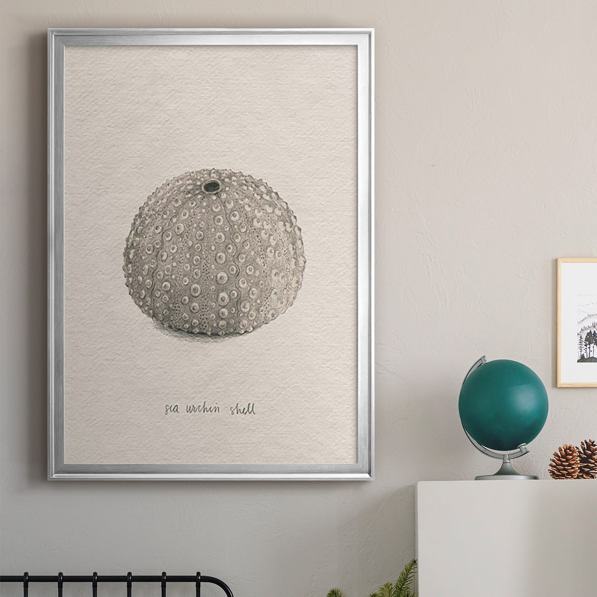 Shore Treasure Study I - Modern Framed Canvas Print
