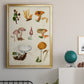 Mushroom Species VI - Modern Framed Canvas Print