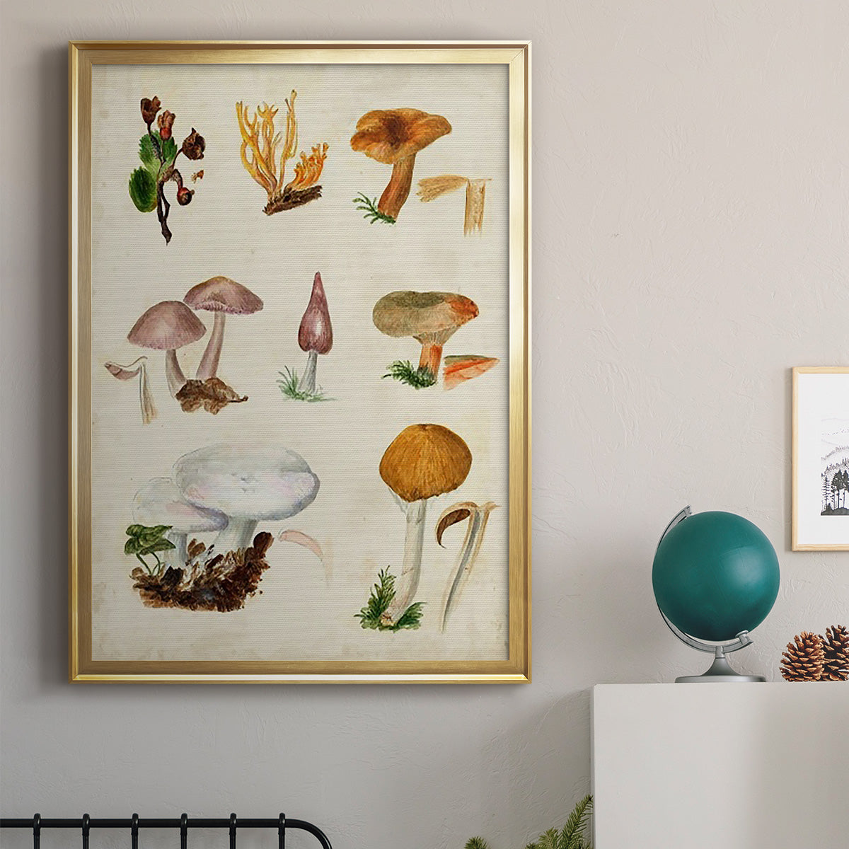 Mushroom Species VI - Modern Framed Canvas Print