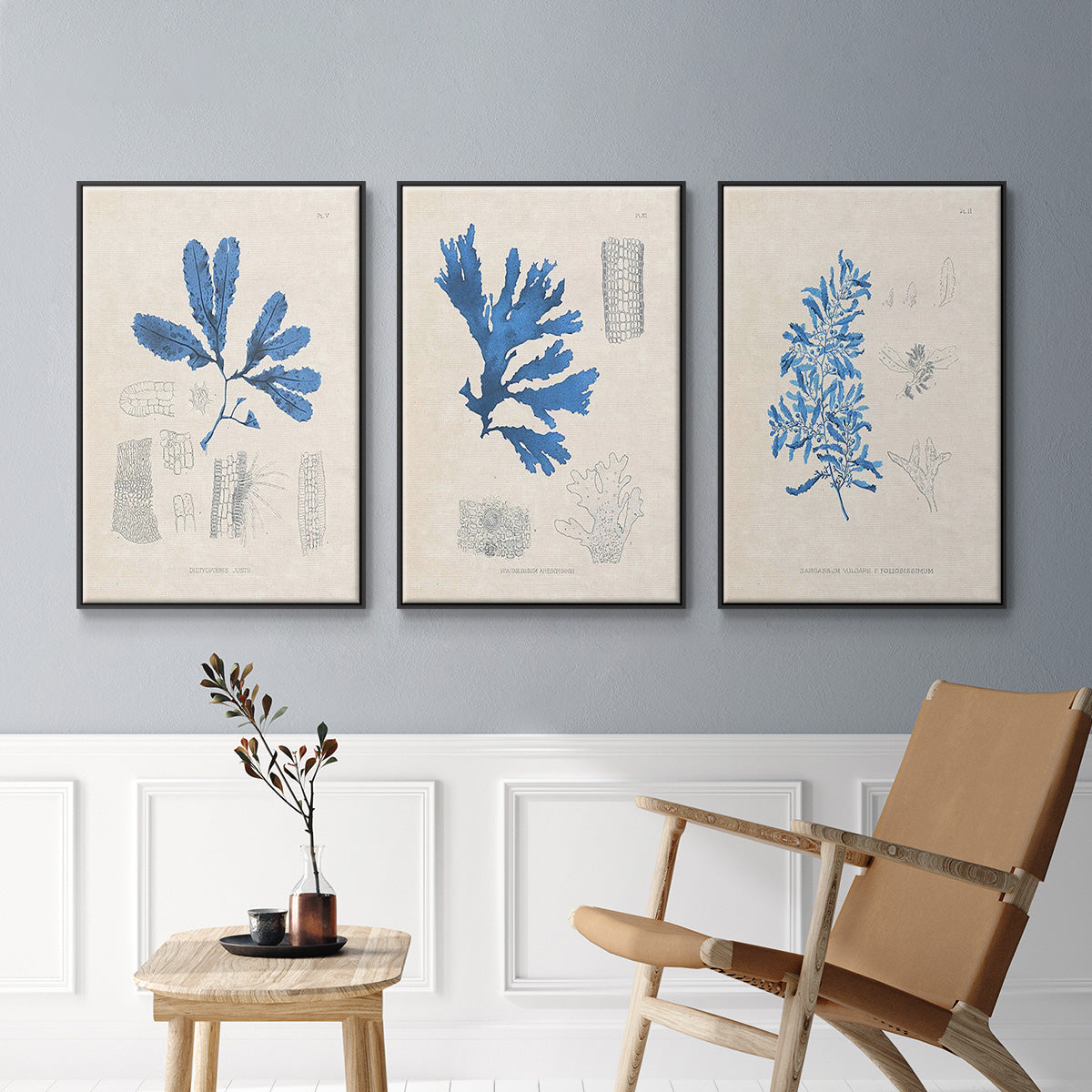 Blue Marine Algae VI - Framed Premium Gallery Wrapped Canvas L Frame 3 Piece Set - Ready to Hang