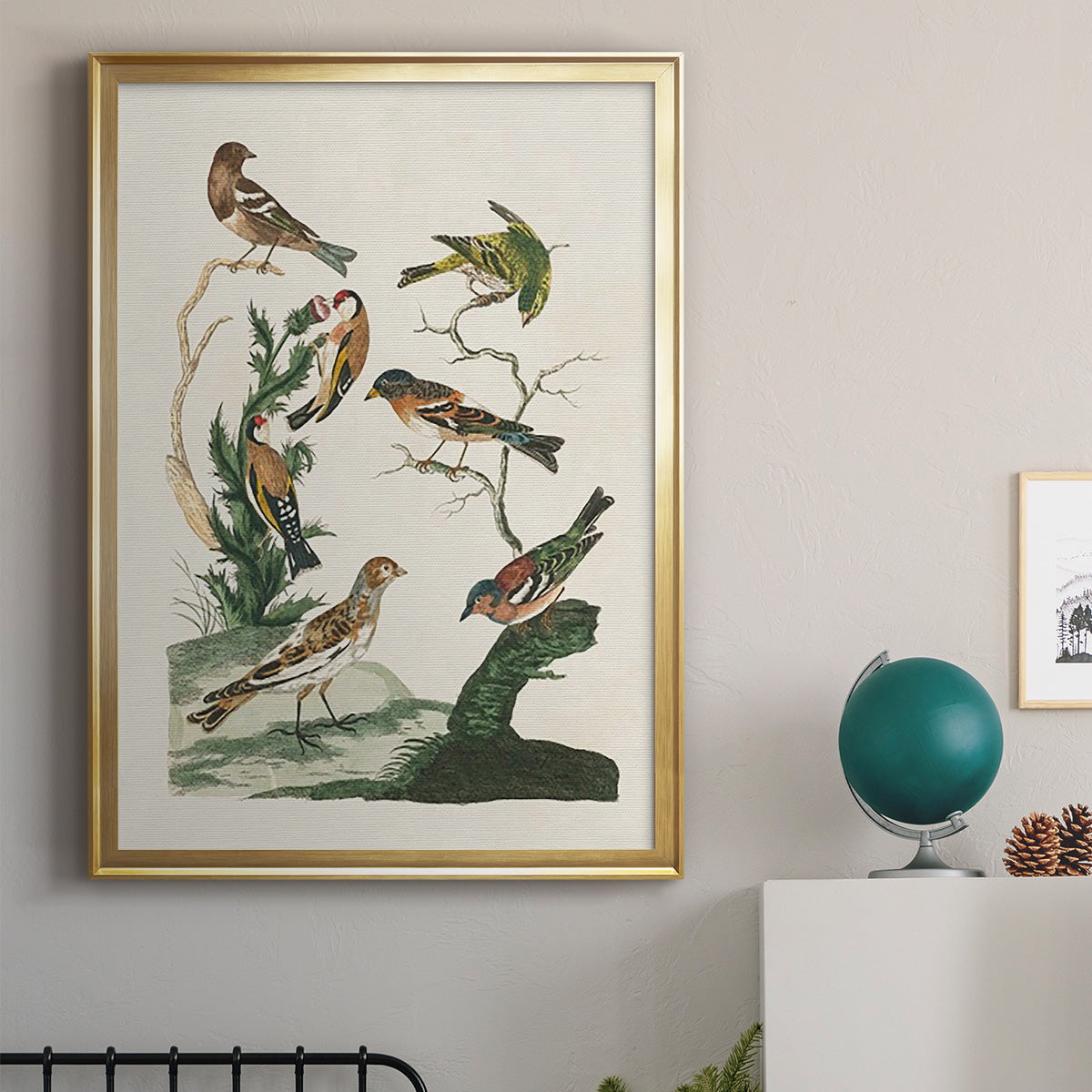 Antique Birds in Nature I - Modern Framed Canvas Print