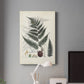 Collected Ferns VI Premium Gallery Wrapped Canvas - Ready to Hang