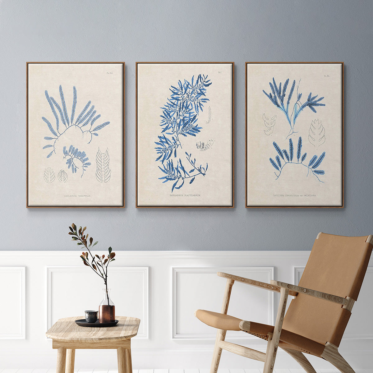 Blue Marine Algae I - Framed Premium Gallery Wrapped Canvas L Frame 3 Piece Set - Ready to Hang