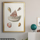 Pastel Knorr Shells VII - Modern Framed Canvas Print