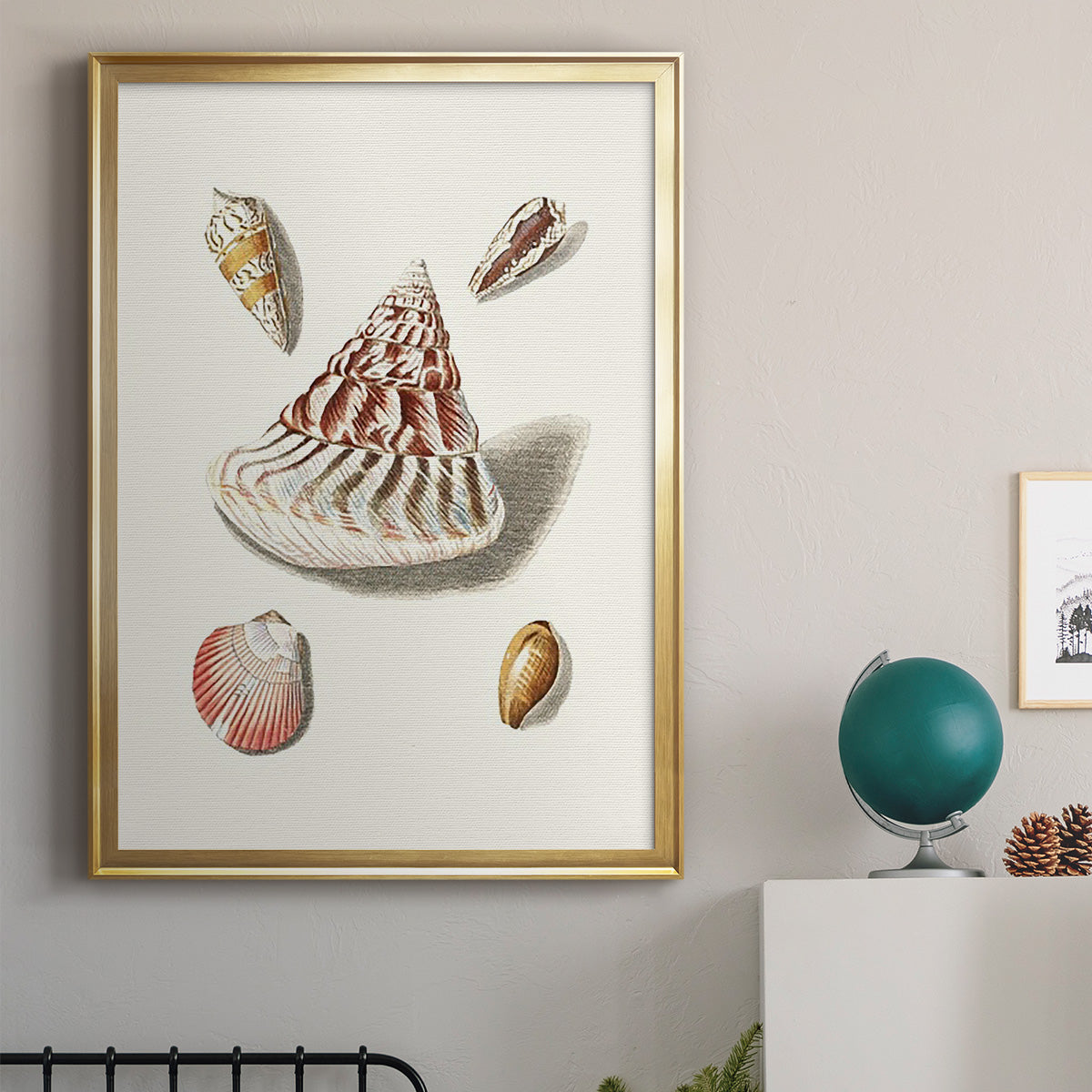 Pastel Knorr Shells VII - Modern Framed Canvas Print