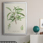 Antique Almond Botanical III - Modern Framed Canvas Print