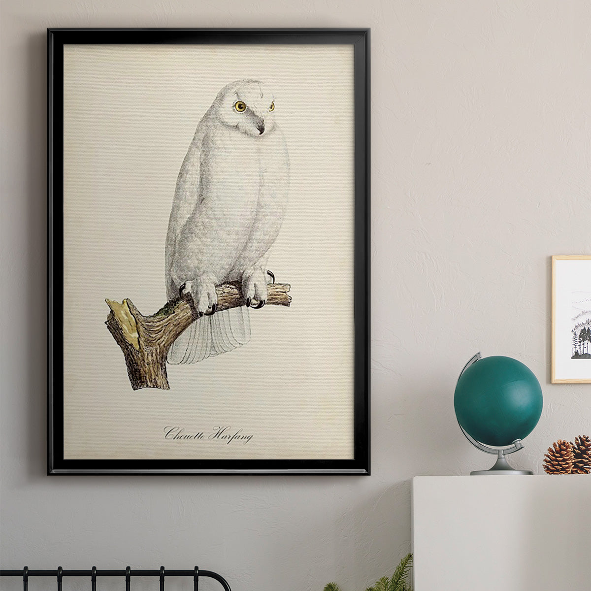 French Owls IV - Modern Framed Canvas Print