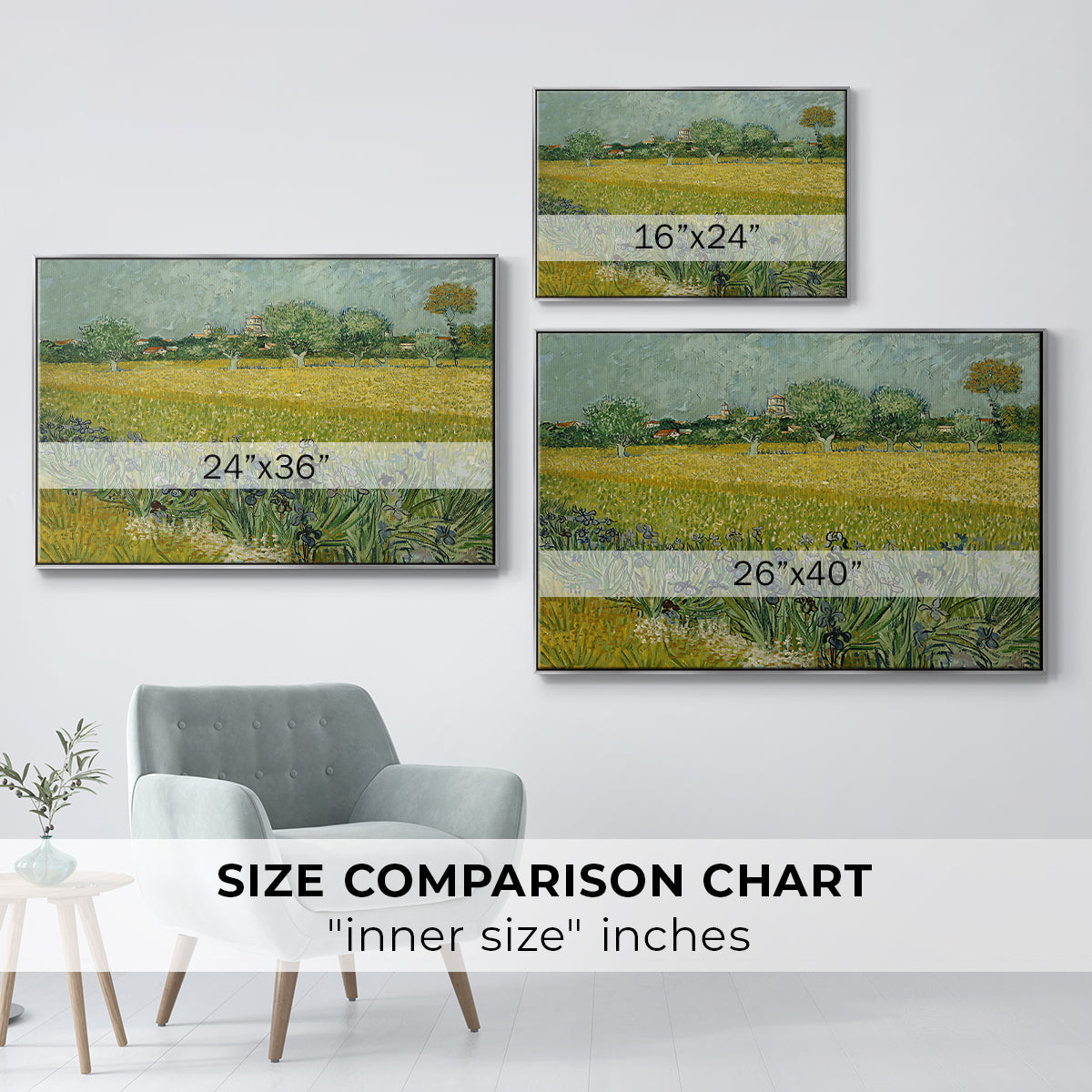 Field with Irises near Arles, 1888 - Floater Framed Canvas Print