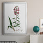 Rose Botanical I - Modern Framed Canvas Print