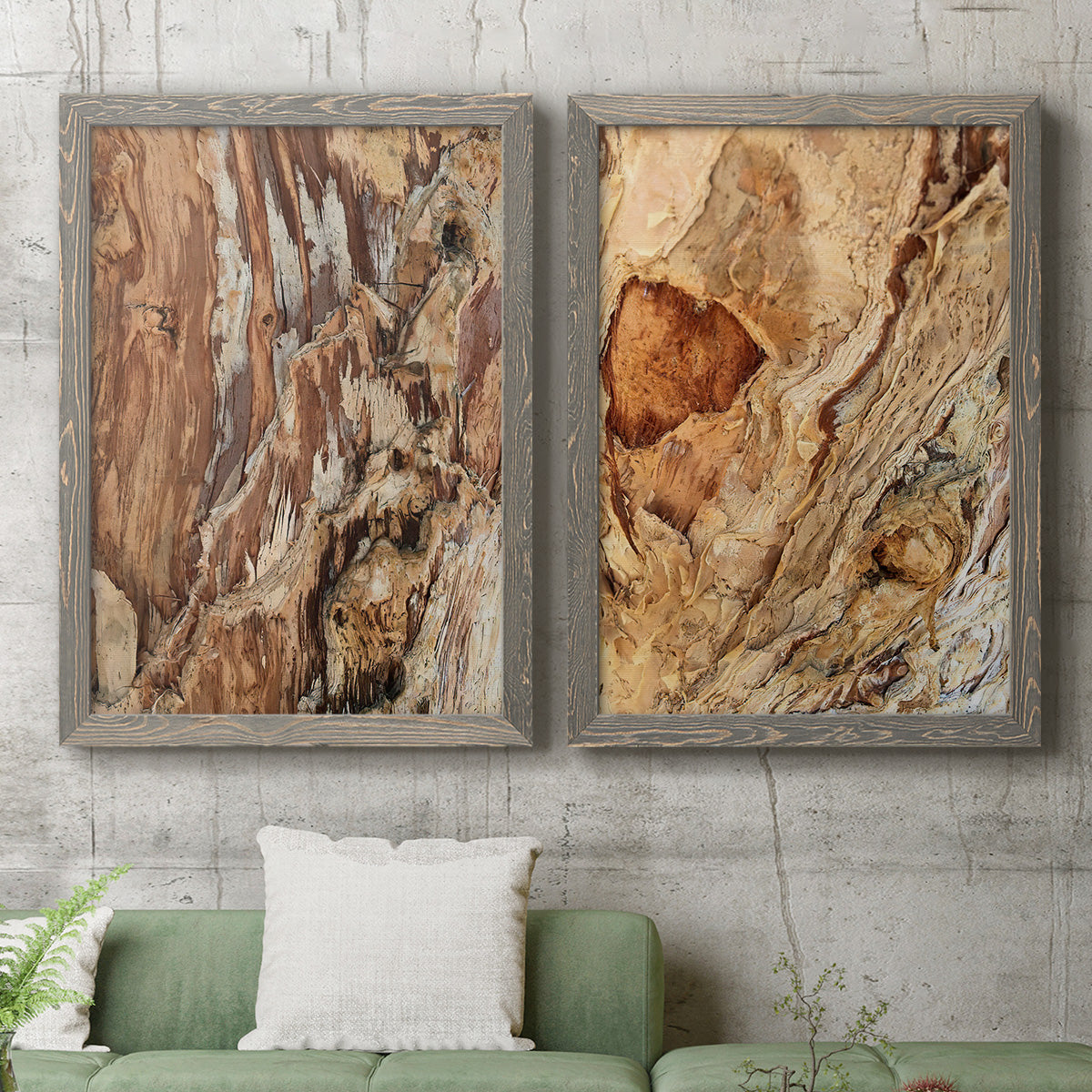 Tree Texture Triptych I - Premium Framed Canvas 2 Piece Set - Ready to Hang