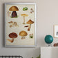 Mushroom Species II - Modern Framed Canvas Print