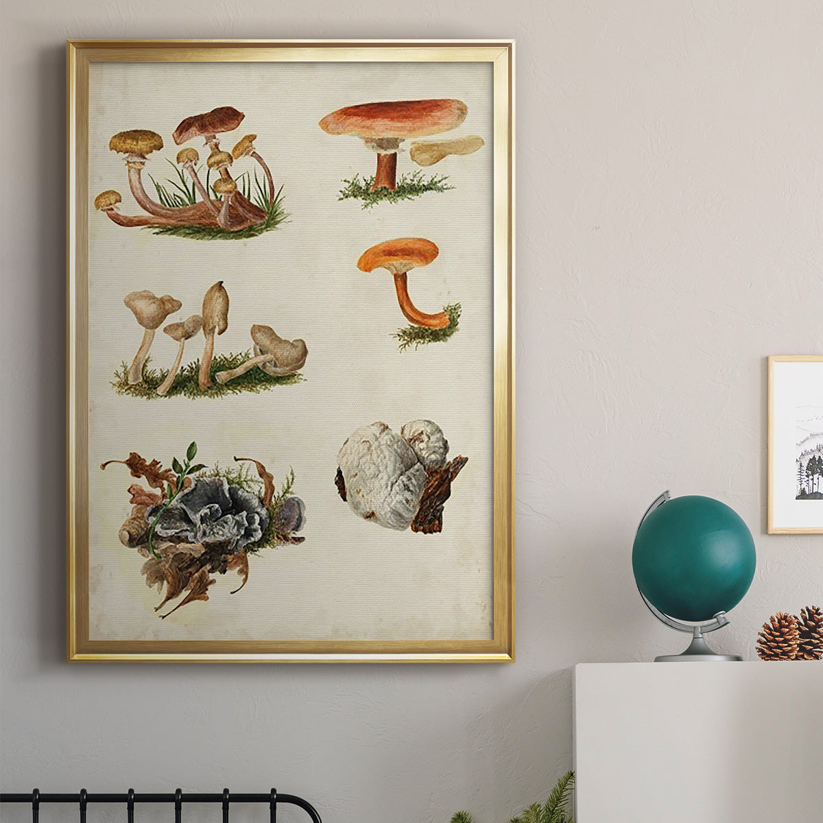 Mushroom Species X - Modern Framed Canvas Print