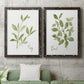 Herb Sage - Premium Framed Canvas 2 Piece Set - Ready to Hang