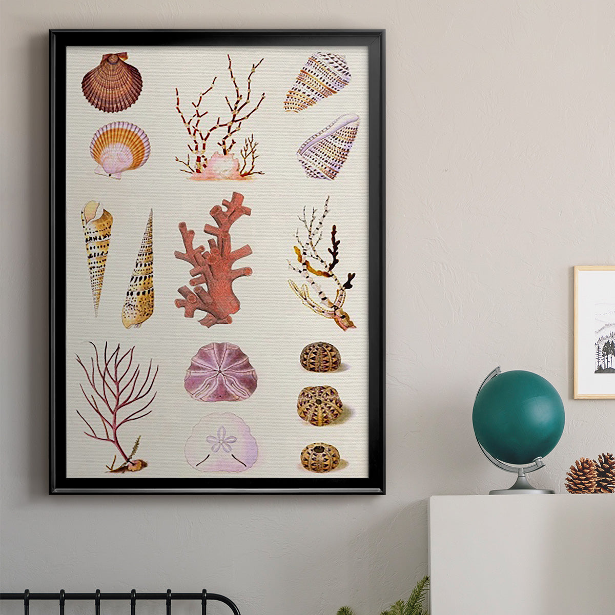 Coral & Shell Collage II -  Framed Canvas Print