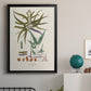 Botanical Society Ferns VIII - Modern Framed Canvas Print