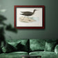 Morris Sandpipers VII Premium Framed Canvas- Ready to Hang