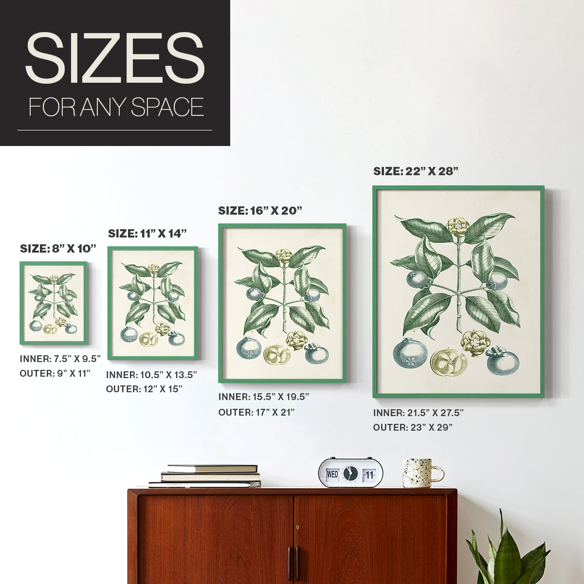 Buchoz Tropicals VII - Restickable Framed Art Print