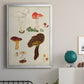 Mushroom Species XI - Modern Framed Canvas Print