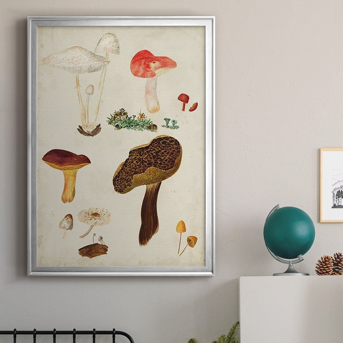Mushroom Species XI - Modern Framed Canvas Print