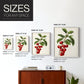 Antique Fruit II - Restickable Framed Art Print