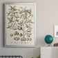 Sepia Botanical Journal II - Modern Framed Canvas Print