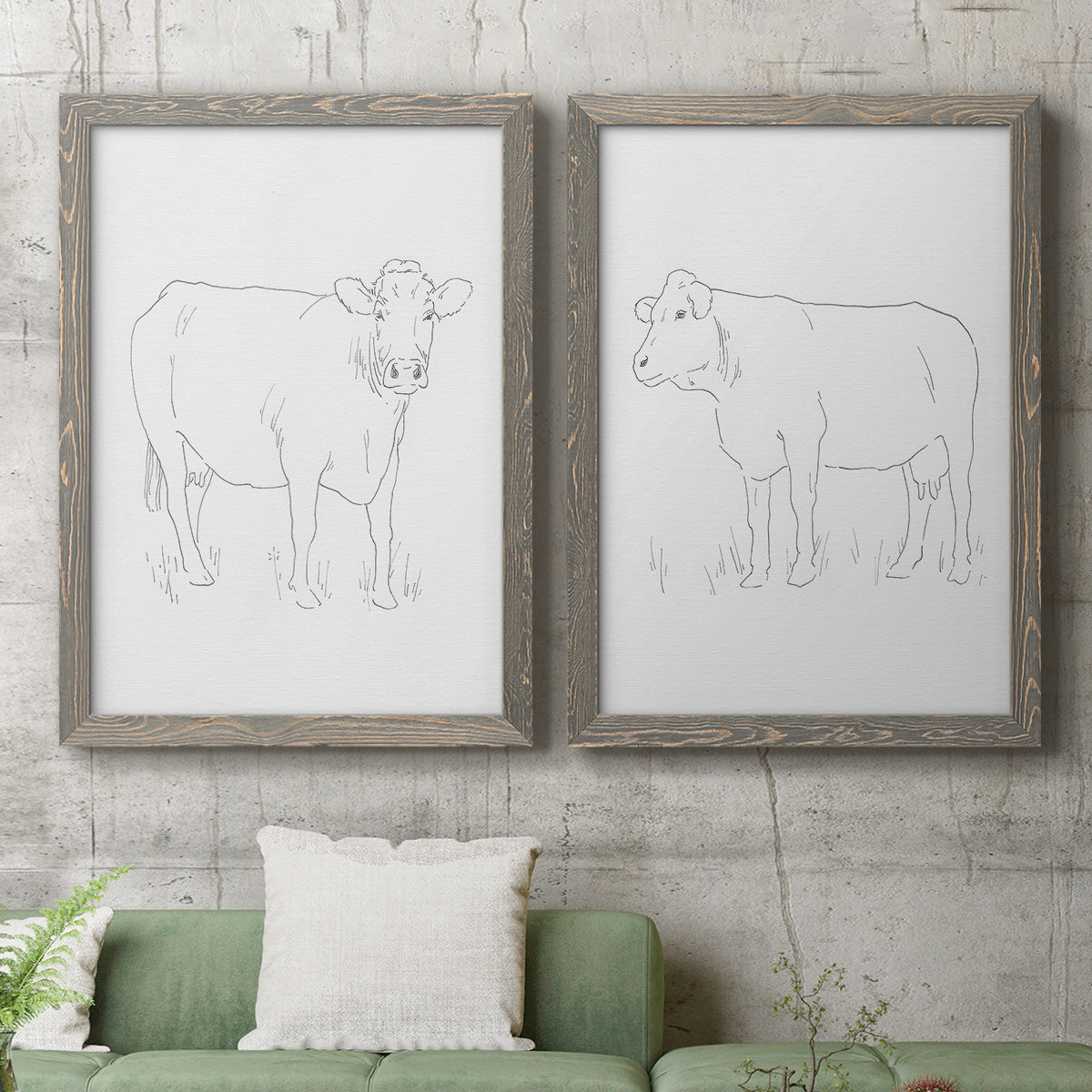 Set of two gray barnwood framed canvas prints depicting a coordinated art pair of simple contour drawings of standing cows rendered as minimalist livestock sketches above a sofa in a modern living room.