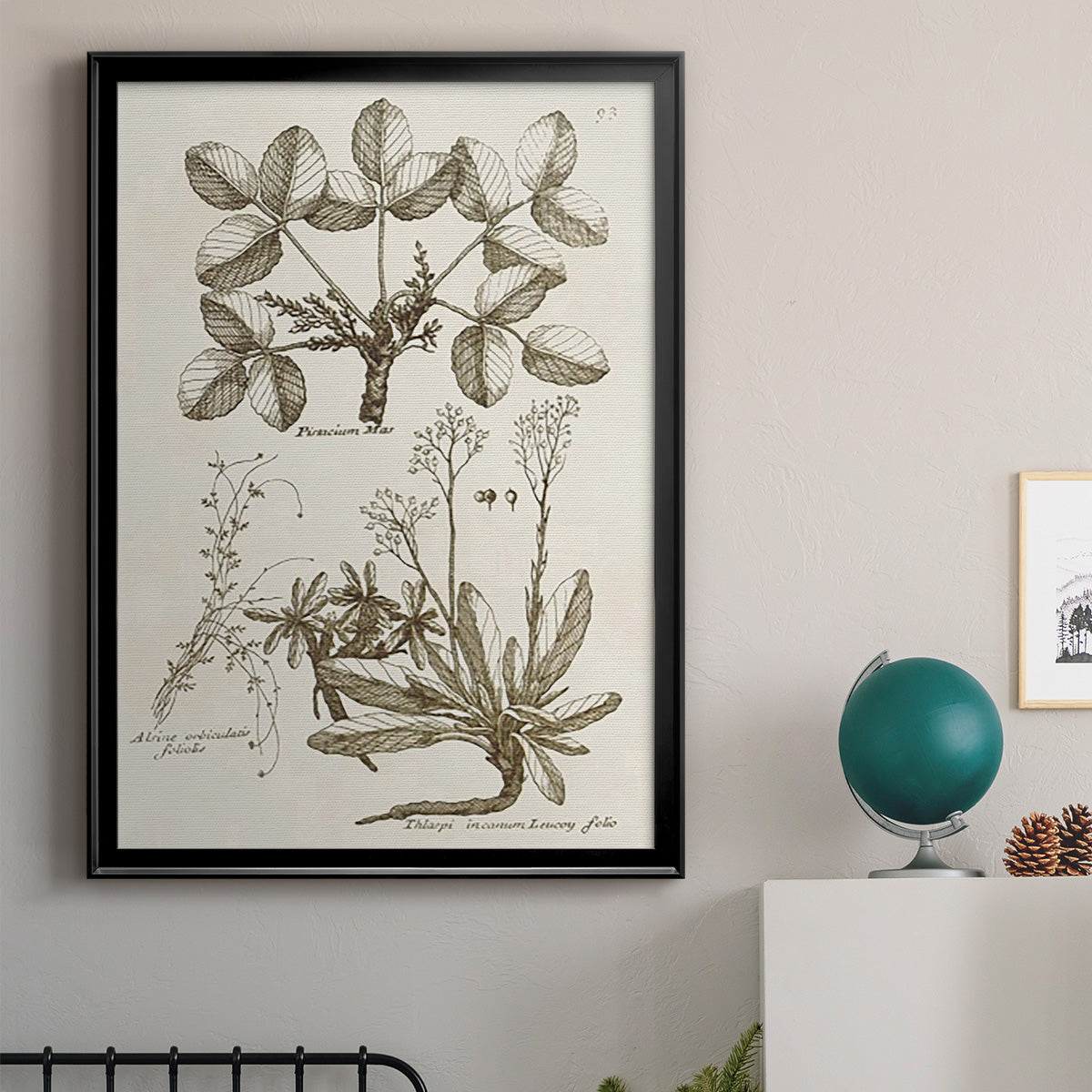 Sepia Botanical Journal VI - Modern Framed Canvas Print