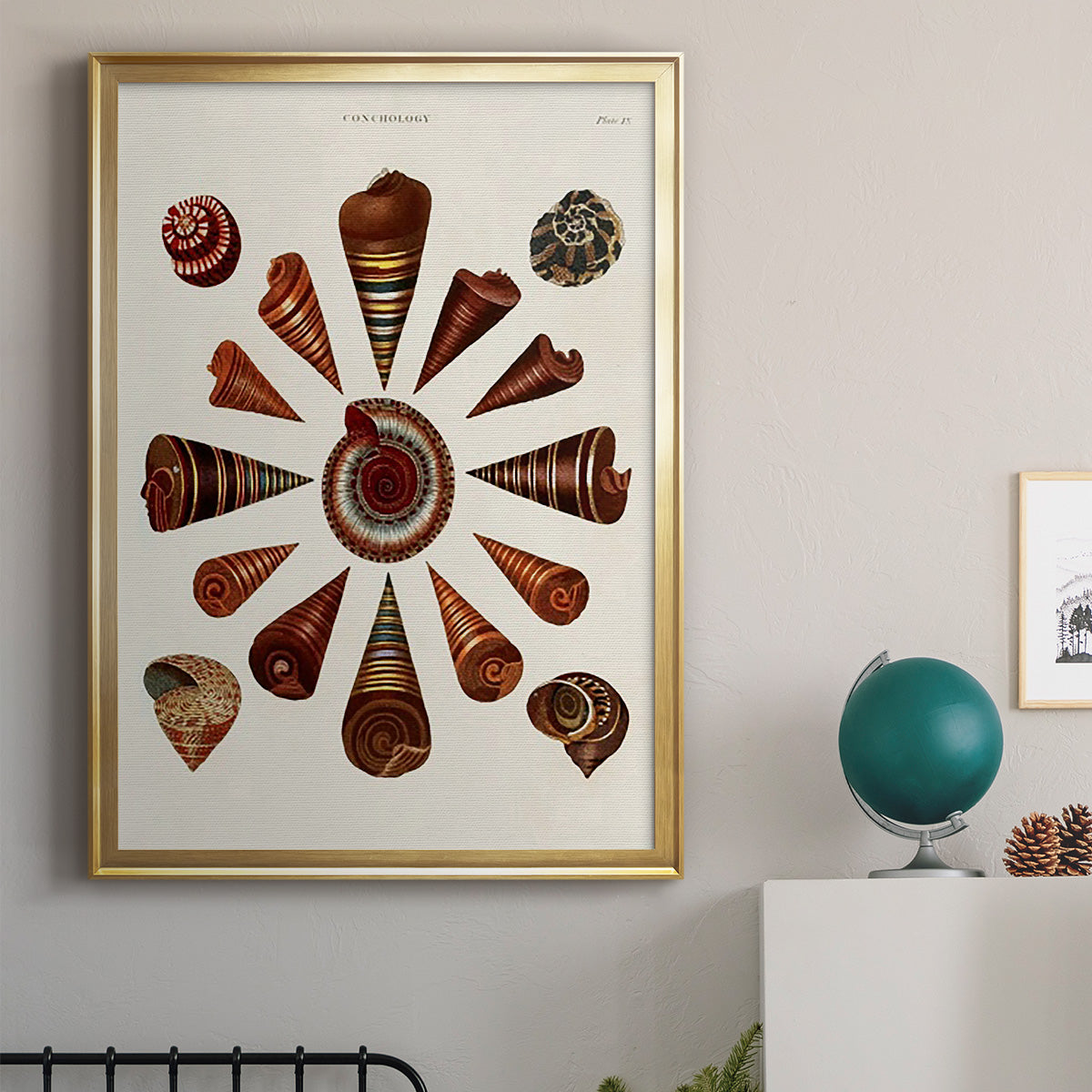 Spiral Shell Formation IV - Modern Framed Canvas Print